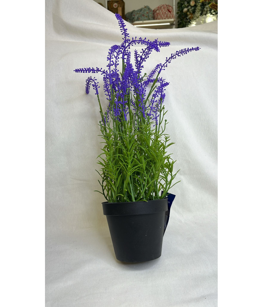 Maceta Lavanda