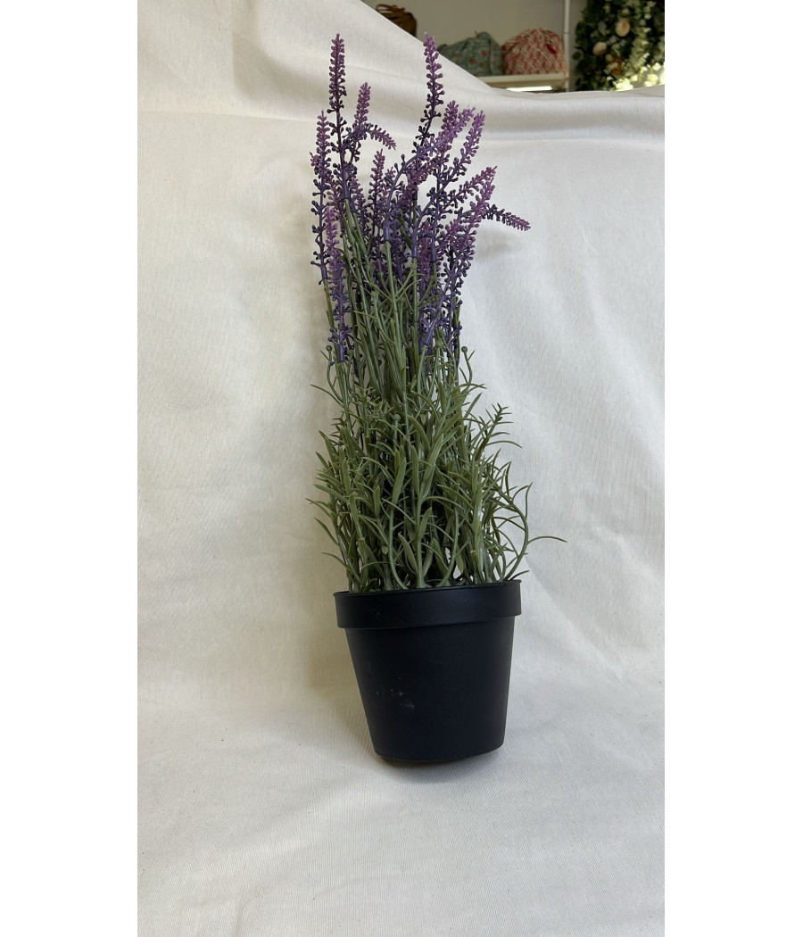 Maceta Lavanda