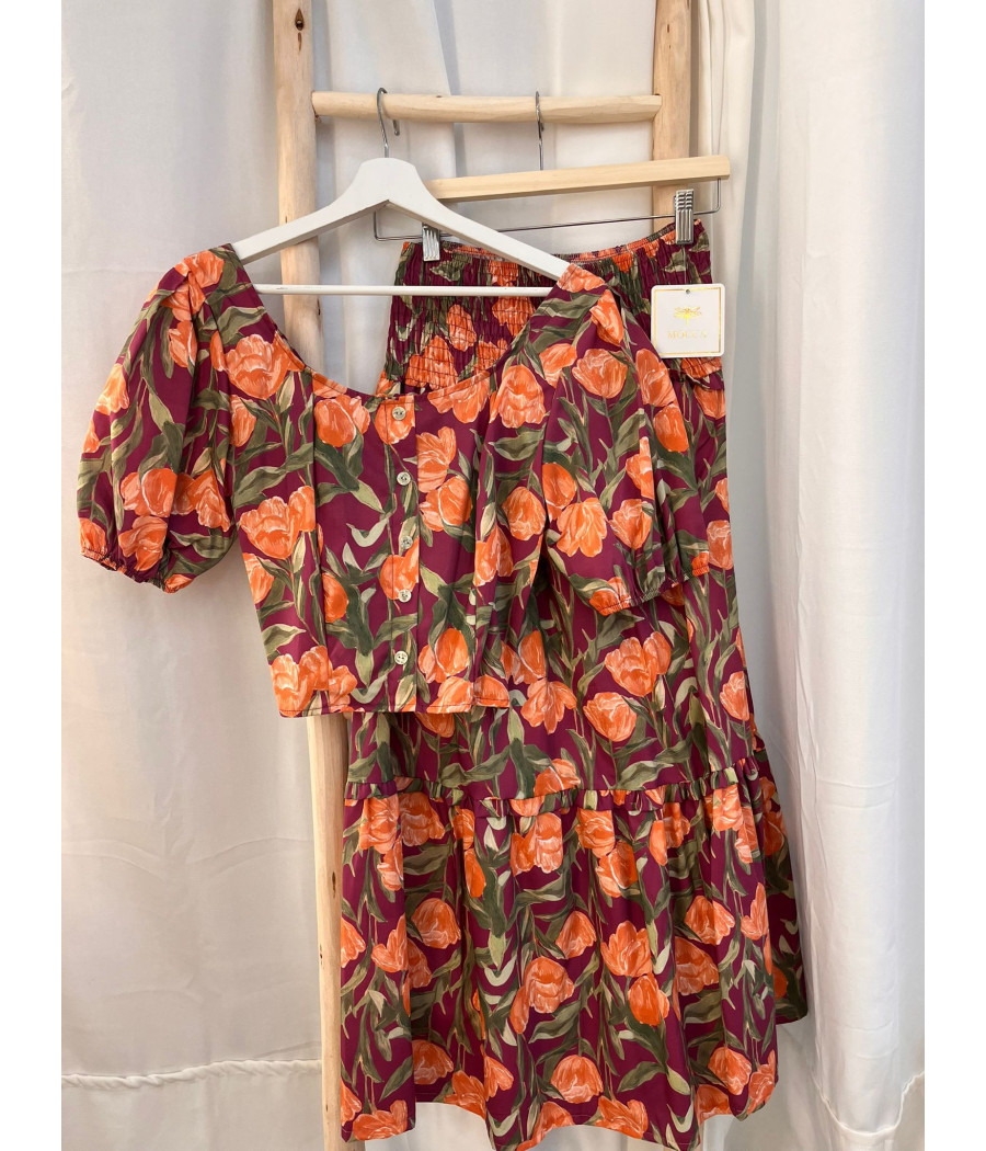 Conjunto Vega