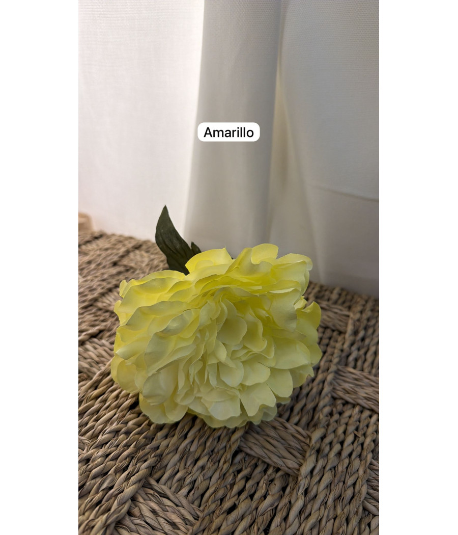 Peonias Pintadas a Mano