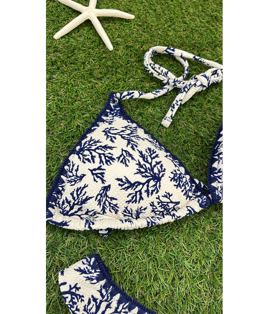 Bikini Alga