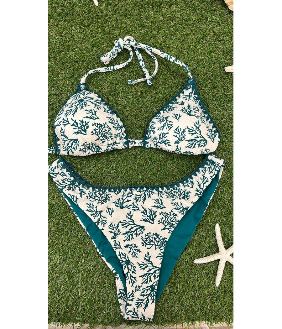 Bikini Alga