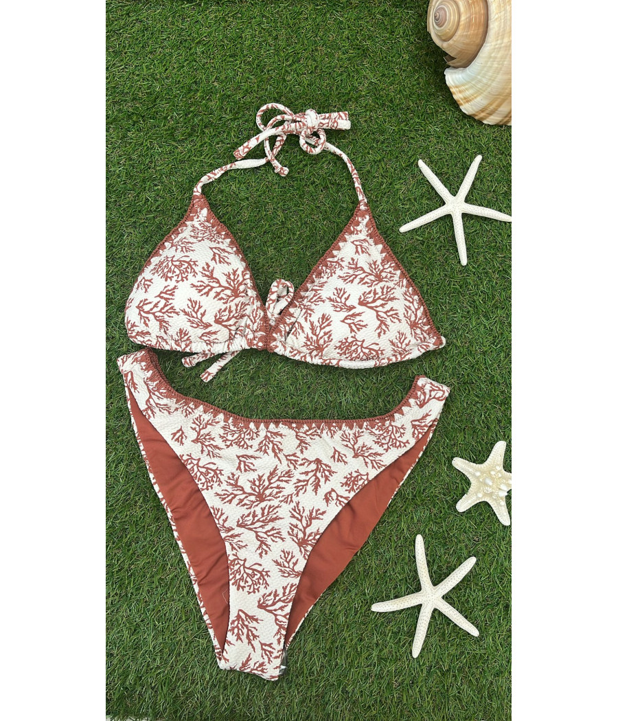 Bikini Alga
